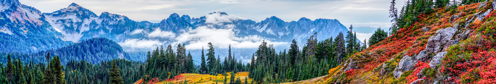 Pacific NW Federal Credit Union's Economic Impact